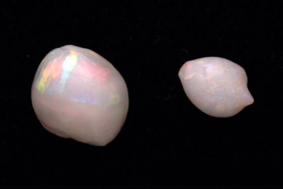 Coober Pedy Opalized Pearls